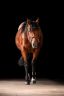DSC_0999-HD.jpg