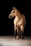 DSC_1528-HD.jpg
